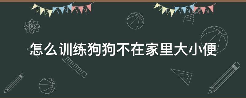 怎么训练狗狗不在家里大小便（怎么训练狗狗不在家里大小便拉屎）