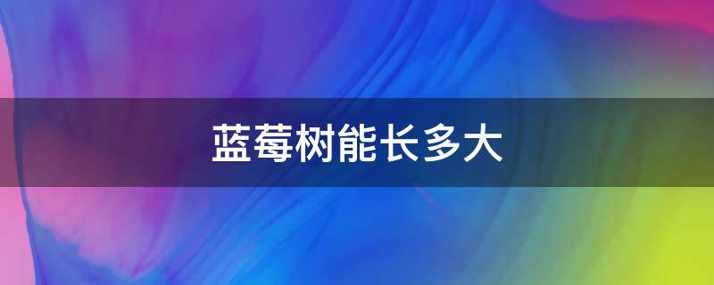 蓝莓树能长多大（蓝莓果树能长多大）