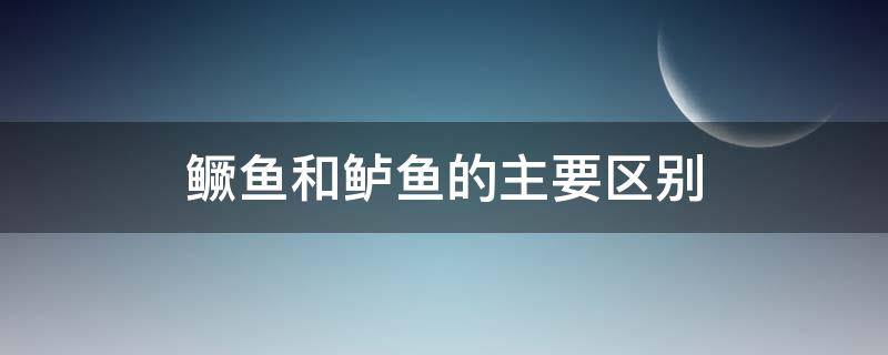 鳜鱼和鲈鱼的主要区别 鲈鱼是什么鱼