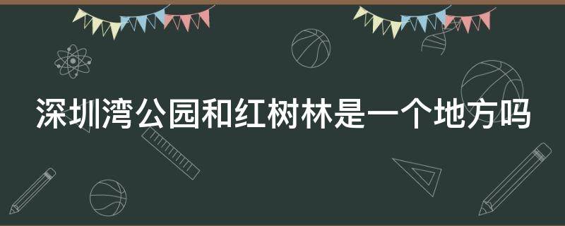 深圳湾公园和红树林是一个地方吗（深圳湾公园和红树林是一个地方吗图片）