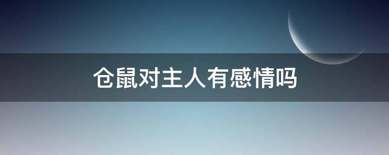 仓鼠对主人有感情吗（仓鼠养得出感情吗）