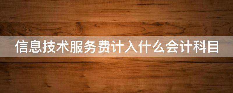 信息技术服务费计入什么会计科目（信息技术服务费计入什么会计科目事业单位）