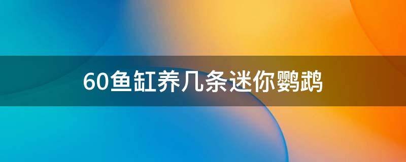 60鱼缸养几条迷你鹦鹉 60的缸养迷你鹦鹉