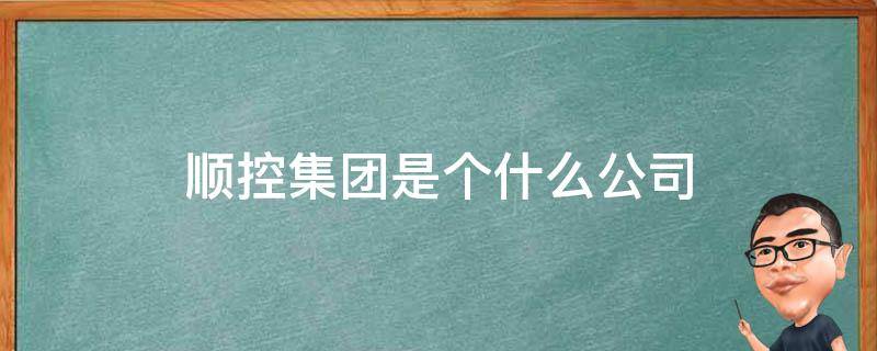 顺控集团是个什么公司（顺控集团有什么分公司）