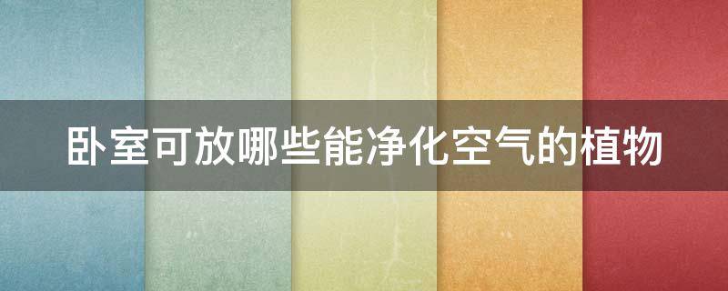 卧室可放哪些能净化空气的植物 卧室能放什么植物使空气清新