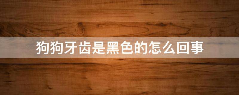 狗狗牙齿是黑色的怎么回事（狗狗牙龈是黑色的怎么回事）