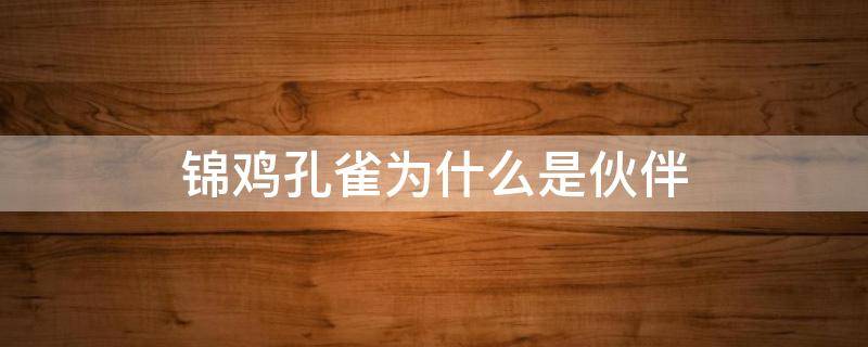 锦鸡孔雀为什么是伙伴 锦鸡孔雀为什么是伙伴二年级