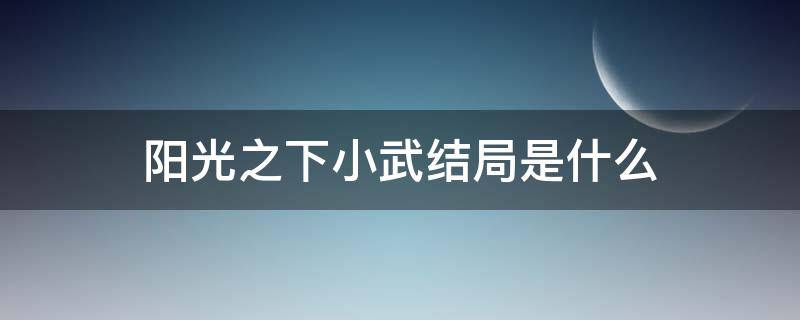 阳光之下小武结局是什么（阳光之下小武是原著中的谁）