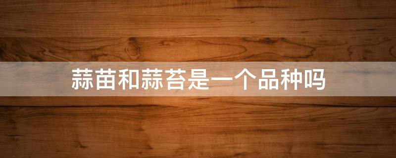 蒜苗和蒜苔是一个品种吗（大蒜苗和蒜苔有什么区别）