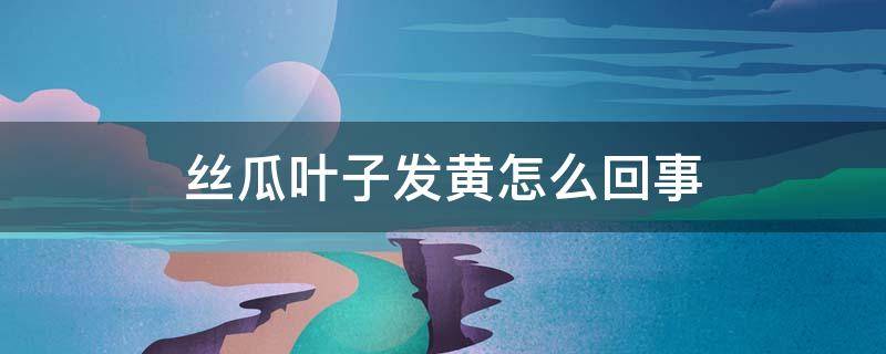 丝瓜叶子发黄怎么回事（丝瓜叶子有黄点什么病）