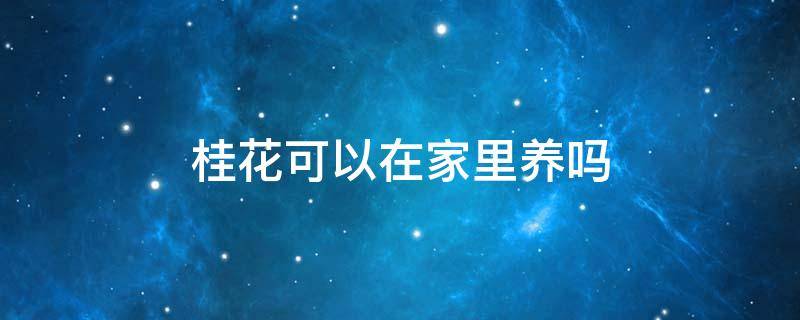 桂花可以在家里养吗 桂花能家里养吗