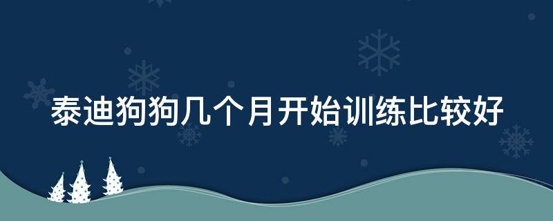 泰迪狗狗几个月开始训练比较好 泰迪狗狗几个月开始训练比较好一点