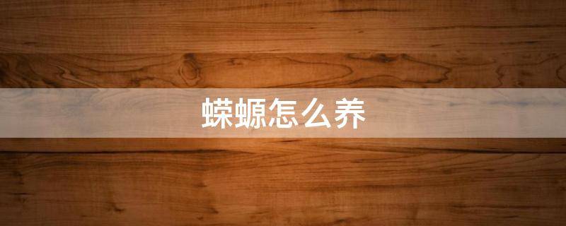 蝾螈怎么养 家养蝾螈怎么养