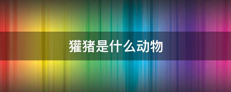 獾猪是什么动物 獾猪是什么动物图片