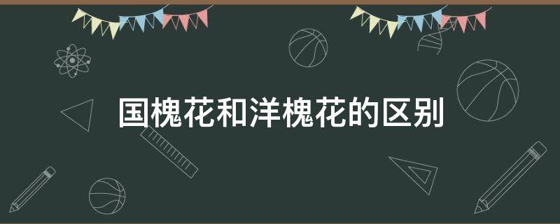 国槐花和洋槐花的区别 洋槐与国槐花的区别