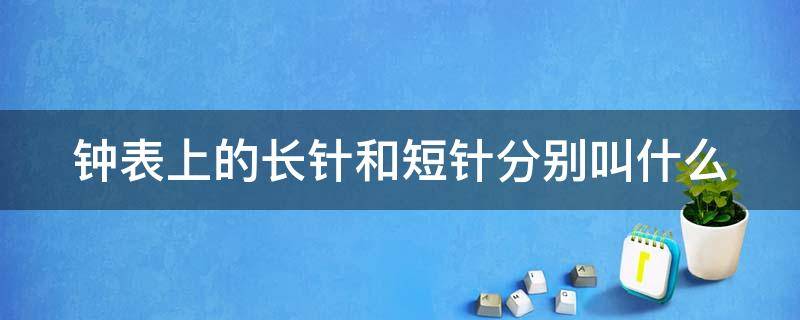 钟表上的长针和短针分别叫什么 钟表上的长针和短针分别叫什么小学答案