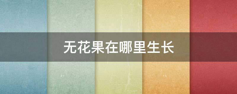 无花果在哪里生长（无花果一般种在哪里）