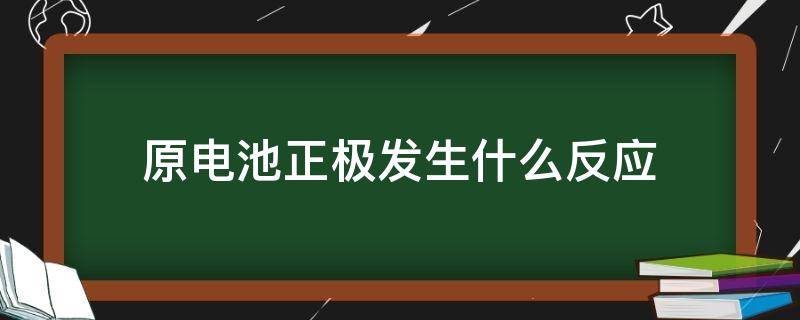 原电池正极发生什么反应（原电池正极发生什么反应负极发生什么反应）