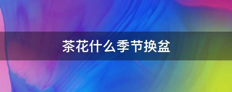 茶花什么季节换盆 茶花什么季节换盆合适