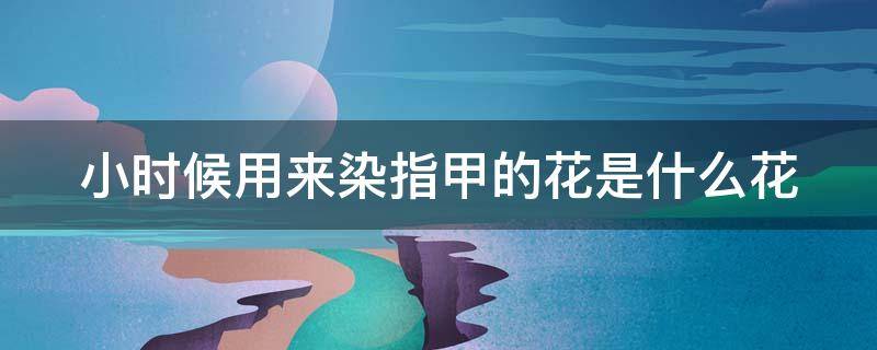 小时候用来染指甲的花是什么花（小时候用来染指甲的花是什么花图片）