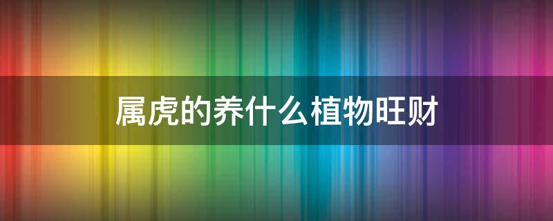 属虎的养什么植物旺财（属虎的养什么植物旺财转运）