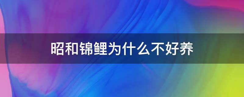 昭和锦鲤为什么不好养 昭和锦鲤长得慢