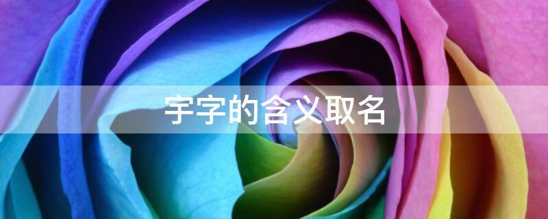 宇字的含义取名（宇字的含义取名女孩）