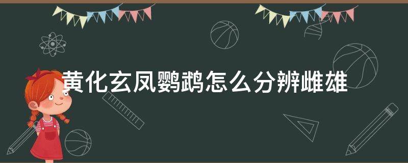 黄化玄凤鹦鹉怎么分辨雌雄（白化玄凤鹦鹉怎么分辨雌雄）