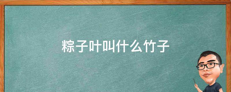 粽子叶叫什么竹子 粽子的叶子是竹子的叶子吗