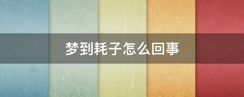 梦到耗子怎么回事（梦到耗子怎么回事儿）