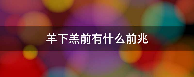 羊下羔前有什么前兆（羊下羔前有什么前兆或见红）