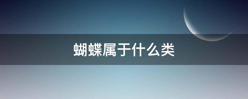 蝴蝶属于什么类（蝴蝶属于什么类动物）