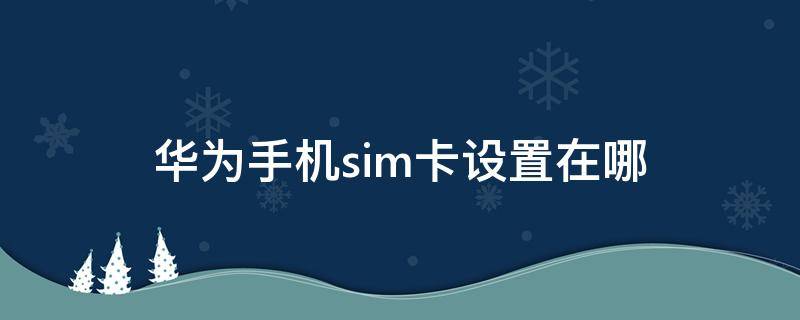 华为手机sim卡设置在哪（华为的sim卡设置在哪）