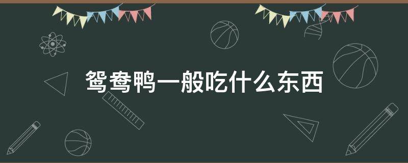 鸳鸯鸭一般吃什么东西 鸳鸯鸭吃什么
