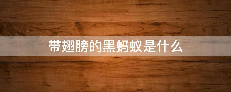 带翅膀的黑蚂蚁是什么（带翅膀的黑蚂蚁是什么,咬人又疼又痒）