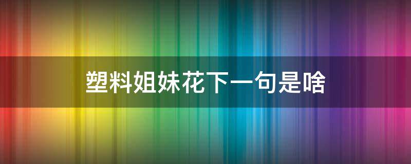 塑料姐妹花下一句是啥（塑料姐妹花是啥意思）