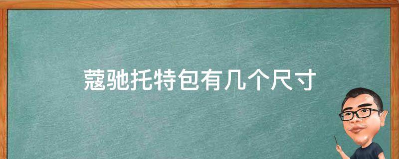 蔻驰托特包有几个尺寸（蔻驰托特包内部图片）