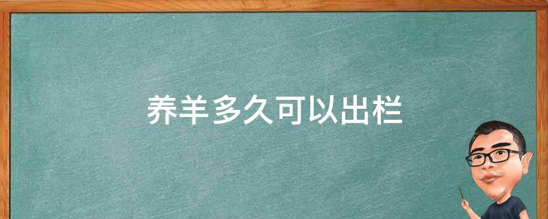 养羊多久可以出栏 一只羊养多久可以出栏