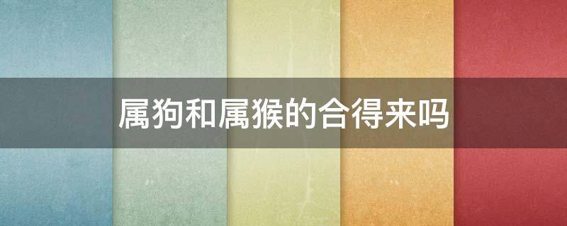 属狗和属猴的合得来吗 属狗和属猴的合吗?