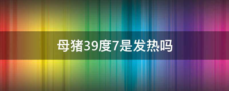 母猪39度7是发热吗 母猪39度7是发烧吗