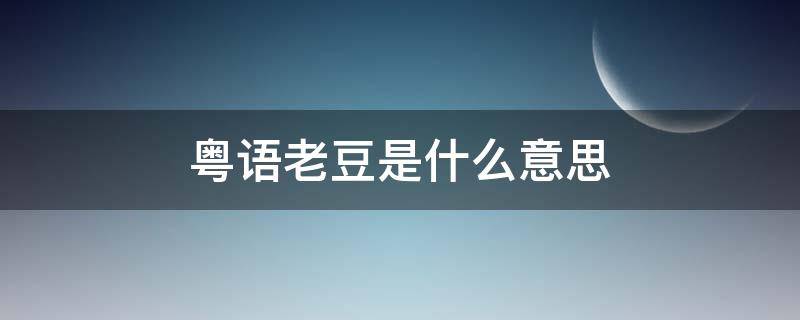 粤语老豆是什么意思 粤语老豆是啥意思