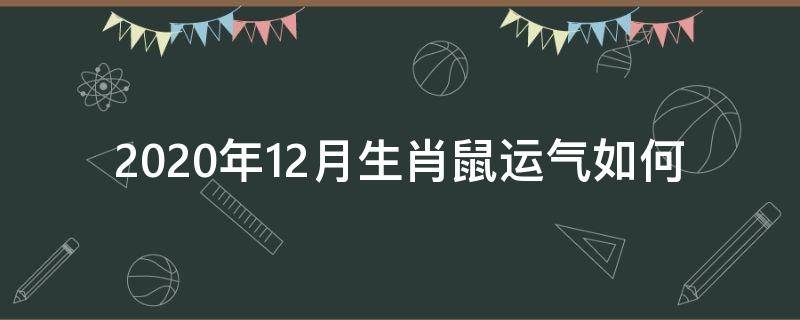 2020年12月生肖鼠运气如何 2020年12月生肖鼠运势