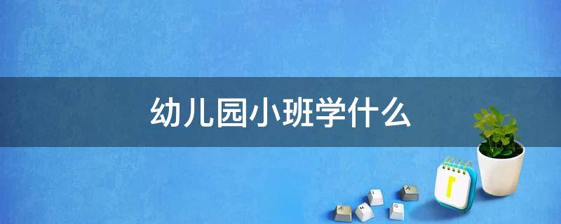 幼儿园小班学什么（公立幼儿园小班都学什么）