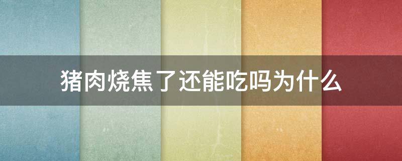 猪肉烧焦了还能吃吗为什么（猪肉烤焦了还能吃吗）