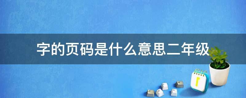字的页码是什么意思二年级 字的页码是什么意思?