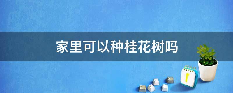 家里可以种桂花树吗（家里可不可以种桂花树）