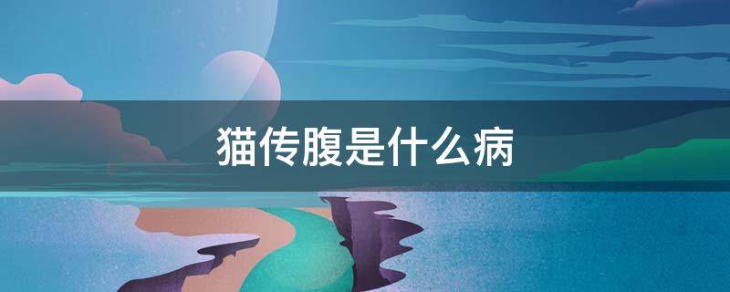 猫传腹是什么病 猫传腹是什么病毒