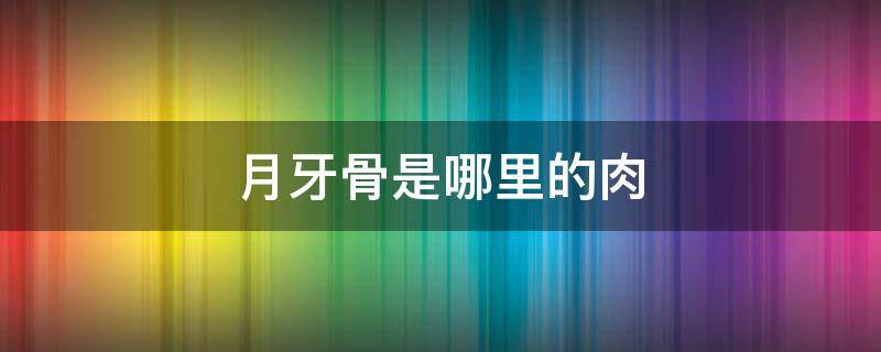 月牙骨是哪里的肉（月牙骨是哪里的肉图示）