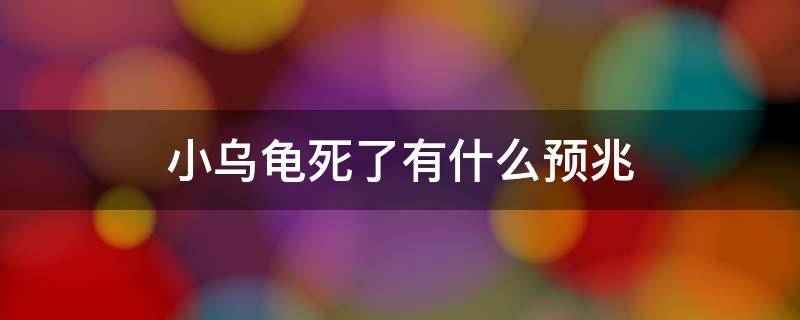 小乌龟死了有什么预兆（小乌龟死的前兆）