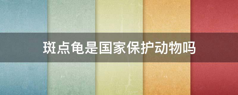 斑点龟是国家保护动物吗 星点龟是国家保护动物吗